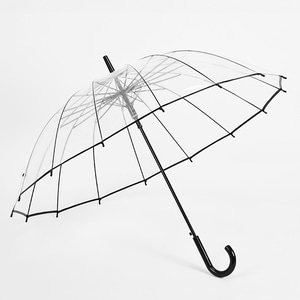 클리어 장우산
